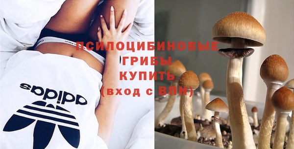 круглые Аша