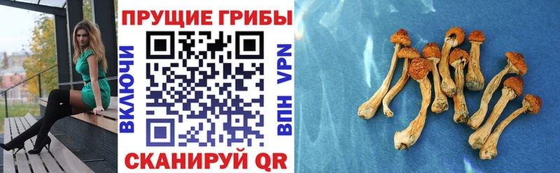 Галлюциногенные грибы ЛСД  Кингисепп 