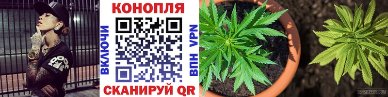 Шишки марихуана VHQ Кингисепп
