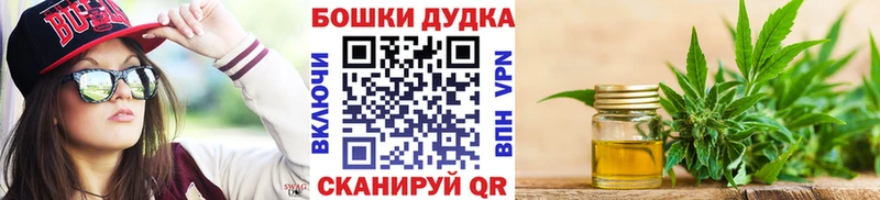 где купить наркоту  Кингисепп  Канабис конопля 